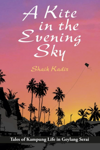 Kite in the Evening Sky