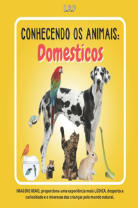 Conhecendo OS Animais