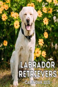 Labrador Retrievers Calendar 2021