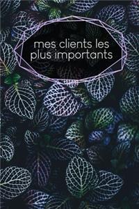 Mes clients les plus importants