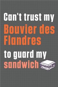 Can't trust my Bouvier des Flandres to guard my sandwich