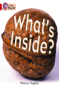 What's Inside?