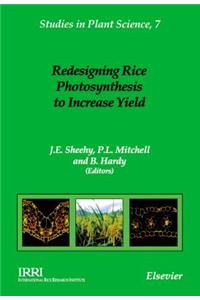 Redesigning Rice Photosynthesis to Increase Yield