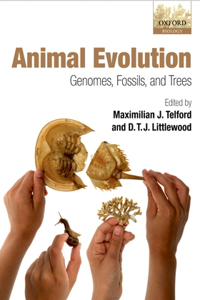 Animal Evolution