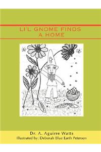 Li'l Gnome Finds a Home