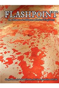 Flashpoint