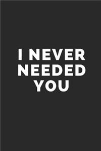 I Never Needed You