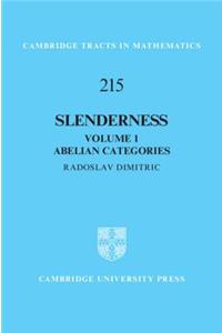 Slenderness: Volume 1, Abelian Categories