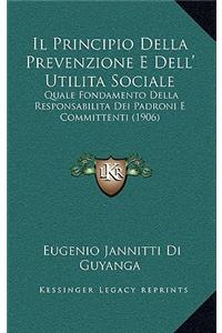 Il Principio Della Prevenzione E Dell' Utilita Sociale