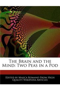 The Brain and the Mind