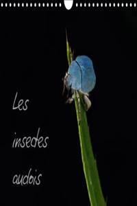 Insectes Audois 2017