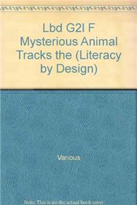 The Mysterious Animal Tracks