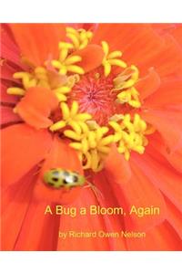 Bug A Bloom, Again