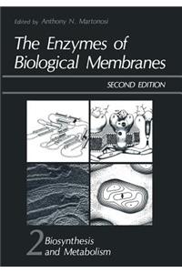 Enzymes of Biological Membranes