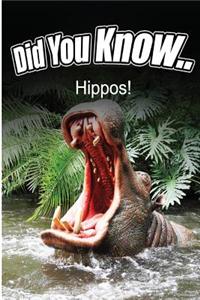 Hippos