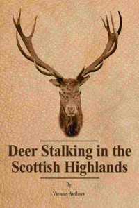 Deer Stalking in the Scottish Highlands