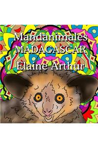 Mandanimales Madagascar
