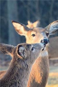 A Kiss in the Park Journal