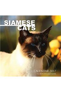 Siamese Cats Calendar 2017