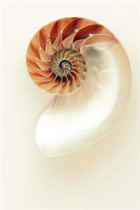 A Simple and Lovely Nautilus Seashell Journal