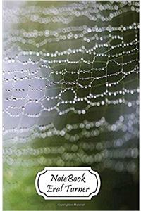 Cobweb: Small Pocket Notebook
