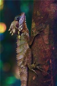 Tree Lizard Journal