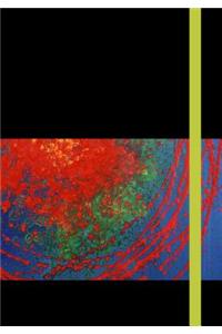 Chihuly Pure Imagination - Black