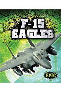 F-15 Eagles