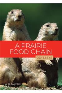 A Prairie Food Chain