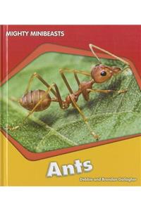 Ants