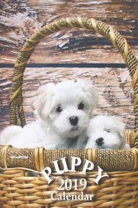 Puppy 2019 Calendar (UK Edition)