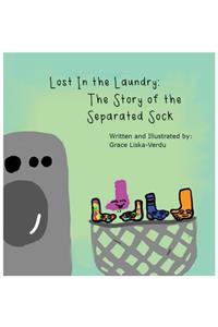 Lost in the Laundry