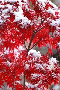 2020 Daily Planner Japanese Maple Winter Snow 388 Pages