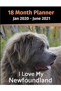 Jan 2020 - June 2021 18 Month Planner