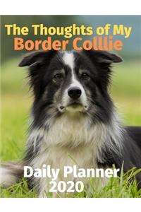 The Thoughts of My Border Collie