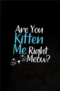 Are You Kitten Me Right Meow?
