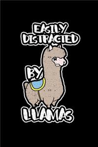 Easily Distracted By Llamas