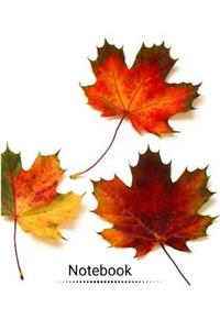 Notebook: Composition Style Notebook for Fall