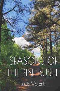 Seasons of the Pine Bush