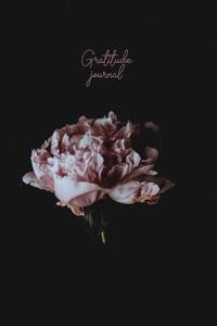 Gratitude journal