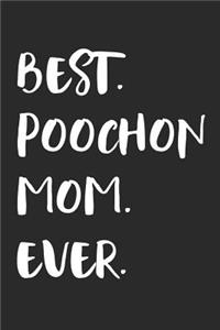 Best Poochon Mom Ever