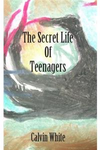 Secret Life of Teenagers