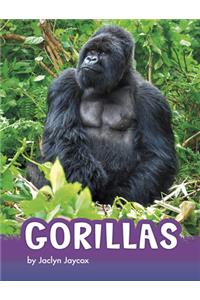 Gorillas