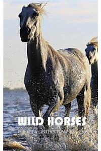 Wild Horses Pocket Monthly Planner 2018