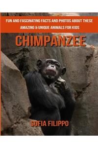 Chimpanzee