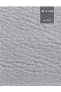 3 Column Ledger
