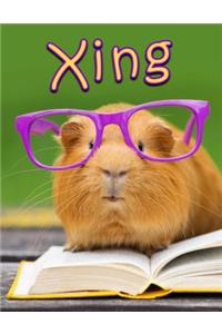 Xing