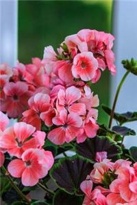 Pink Geranium Notebook