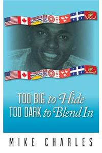Too Big to Hide Too Dark to Blend in