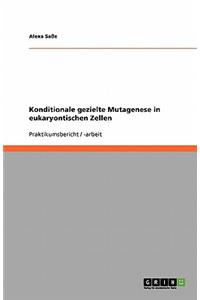 Konditionale gezielte Mutagenese in eukaryontischen Zellen